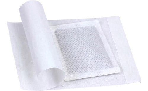 Kit 10 Almofadas Adesivo Eliminador Toxinas Detox Pé Natur - Imagem 2